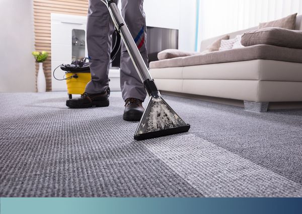 Extends Carpet Lifespan