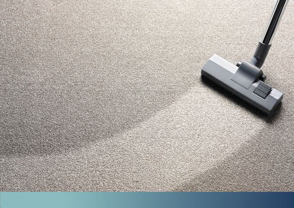 Stain Removal Expertise